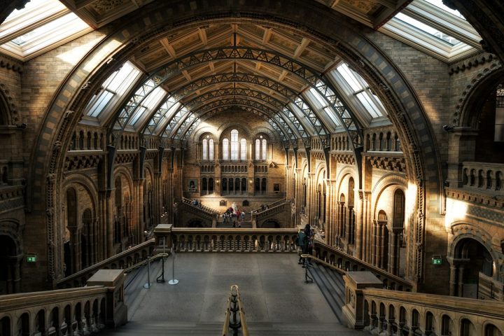 Regional Museum Reopens After Renovation